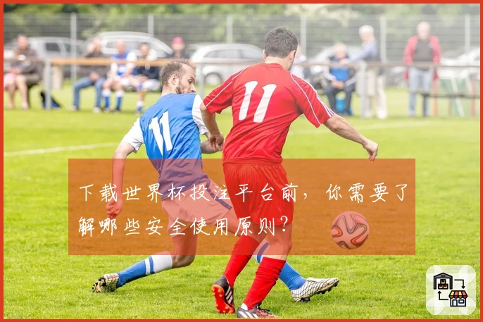 下载世界杯投注平台前，你需要了解哪些安全使用原则？